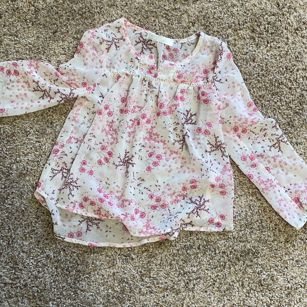 Sheer top. Cute with skinny jeans